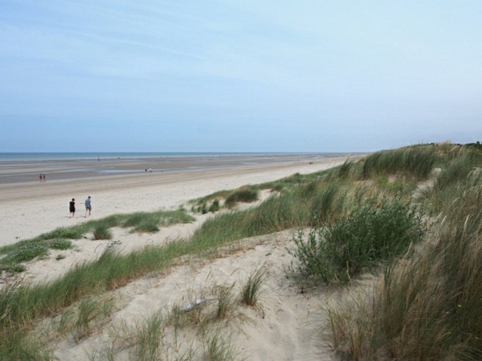 Belgie, De Panne, rezervace Westhoek