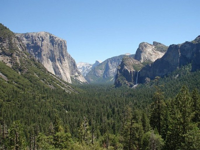 USA, California, Yosemite National Park