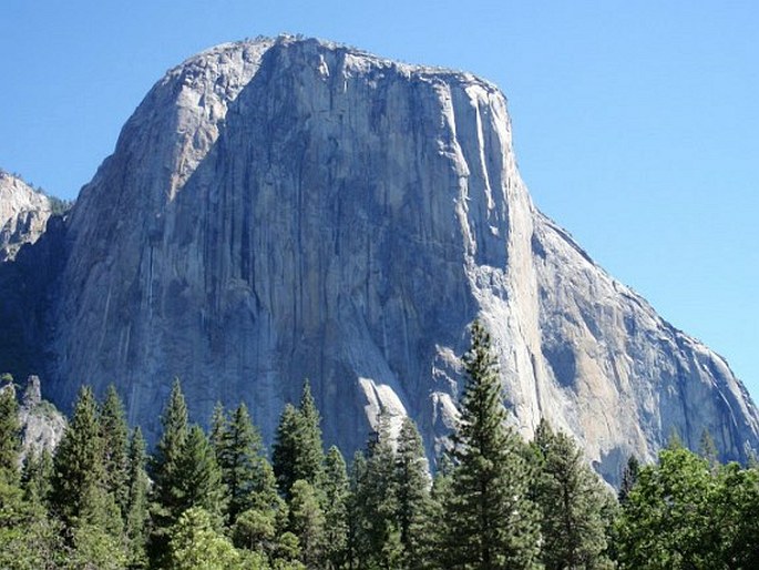 Yosemite National Park