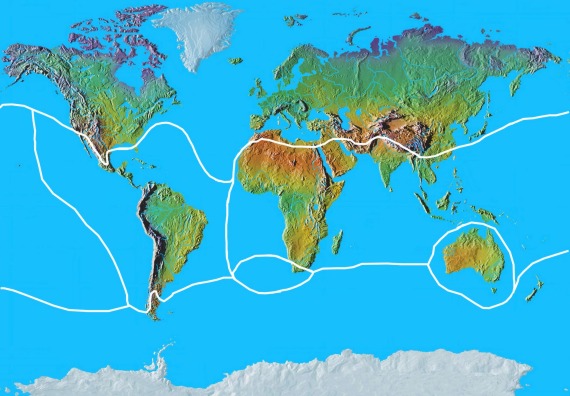 Biogeografické regiony