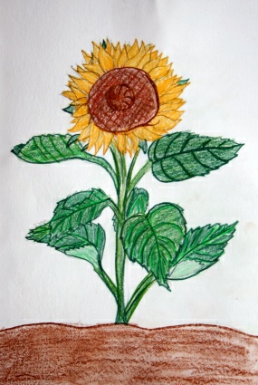 Malujeme s Botany - 1. místo: Klárka Zahradníková (mladší žáci)