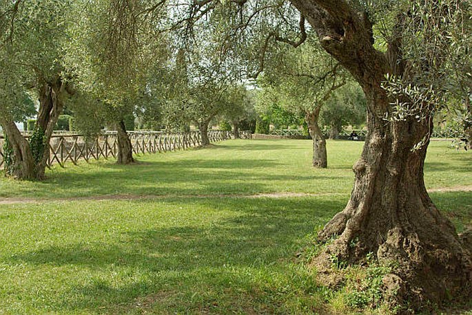 Villa Adriana