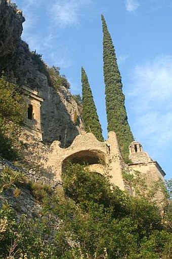 Asplenium petrarchae