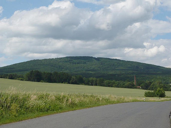 Branžovský hvozd, Bělč – přírodní rezervace