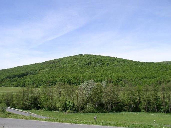 Branžovský hvozd, Bělýšov - přírodní rezervace