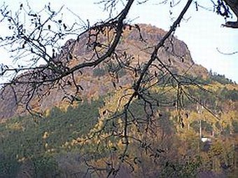 České středohoří, Bořeň – národní přírodní rezervace