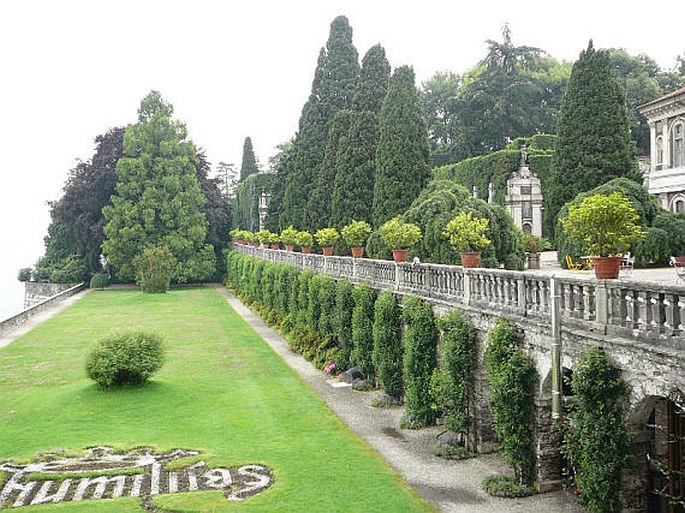 Isola Bella