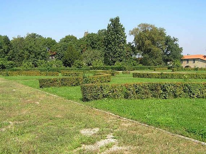 Brandýs nad Labem