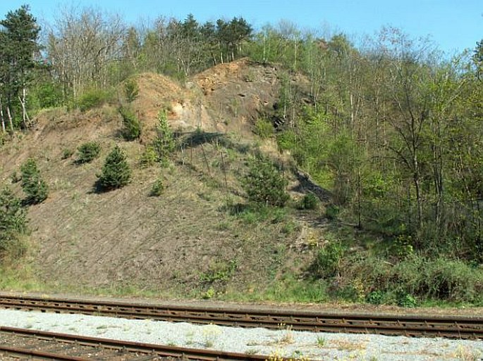 Květena pražských nádraží: Železniční trať č. 210, Praha – Vrané nad Vltavou