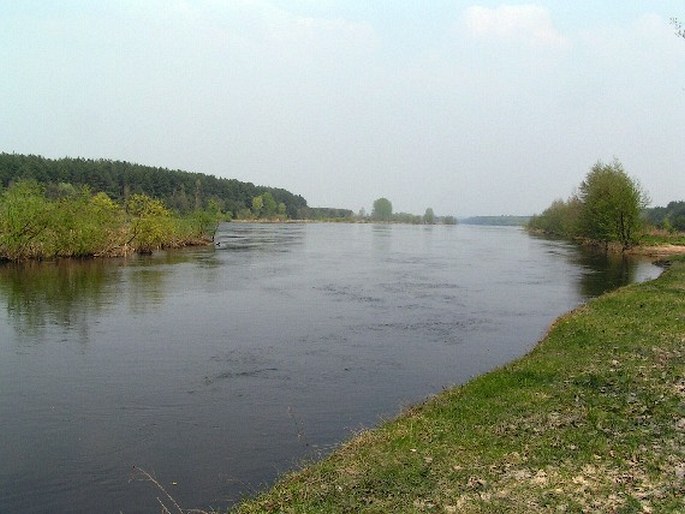 Podlaski Przełom Bugu