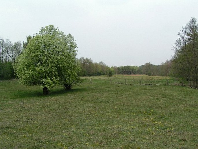 Podlaski Przełom Bugu