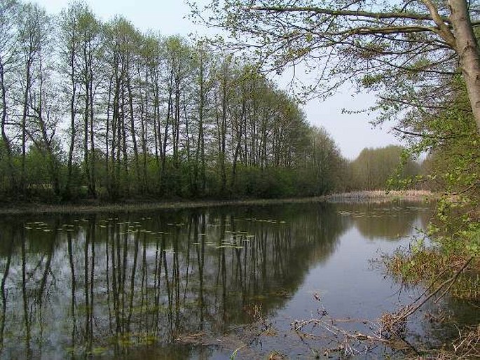 Podlaski Przełom Bugu