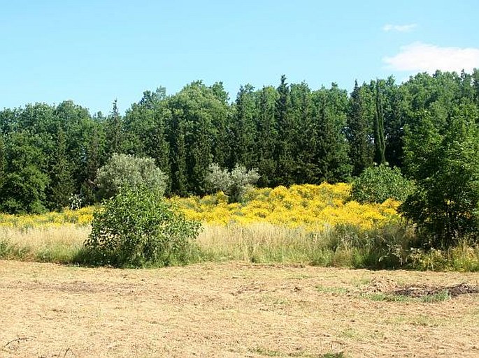 Orto Botanico dell'Università della Calabria