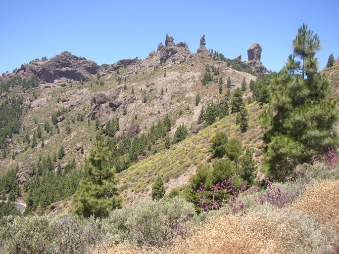 Roque Nublo