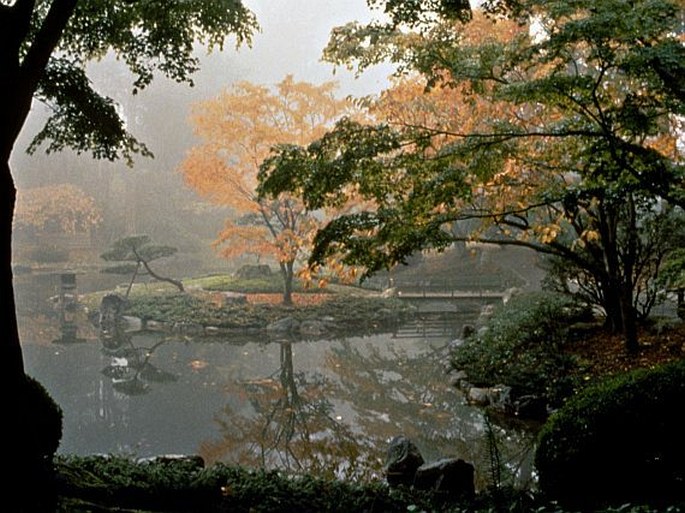 University of British Columbia Botanical Garden