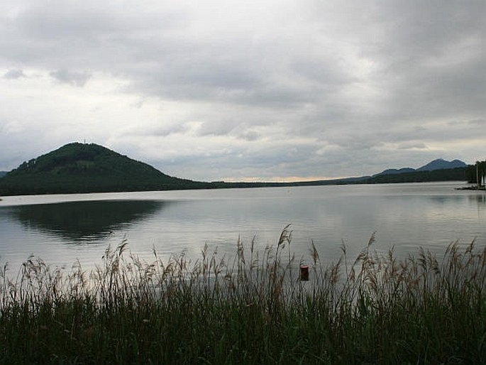Ralsko-bezdězská tabule, Jestřebské slatě - okolí Máchova jezera