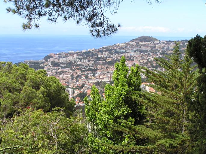 Jardim Botânico da Madeira