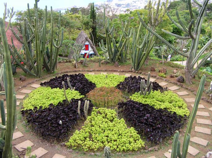 Jardim Botânico da Madeira