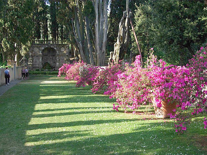 Villa Gamberaia