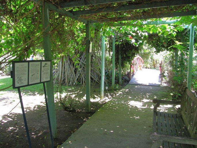 Jardin d’Eden - Réunion, Saint Gilles Les Bains