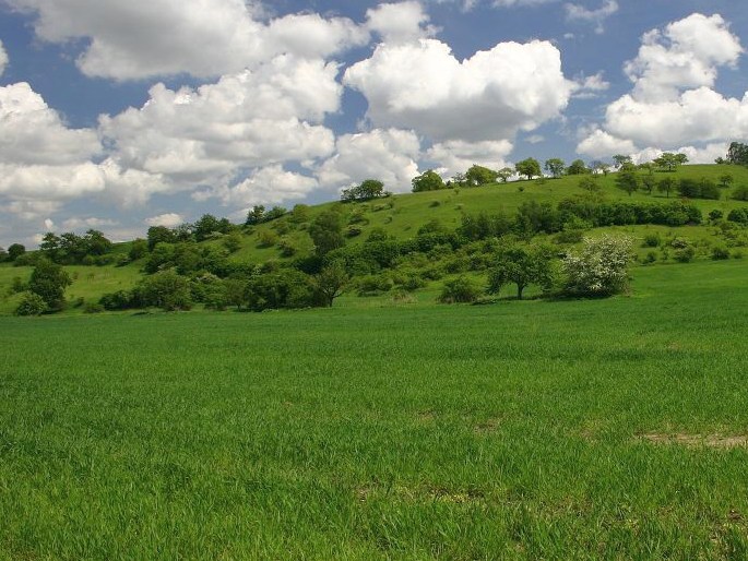 Dolnomoravský úval, Horky – přírodní rezervace