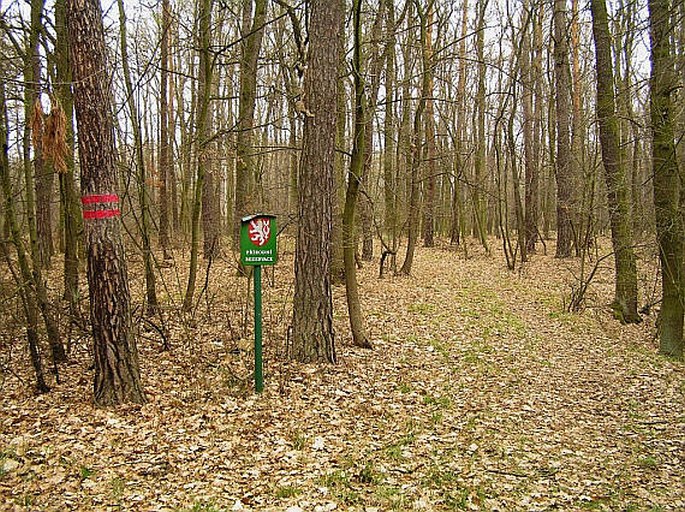 Poděbradské Polabí, Na Hornické – přírodní rezervace