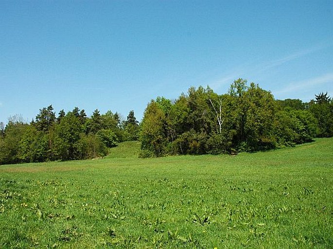 Železnohorské podhůří, Hrobka - přírodní památka