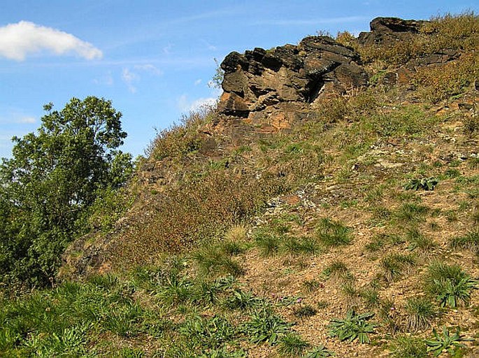 Praha, Jenerálka – přírodní památka