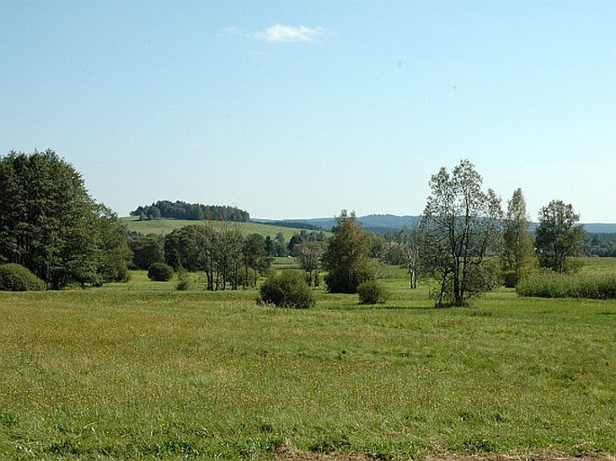 Louky v Jeníkově