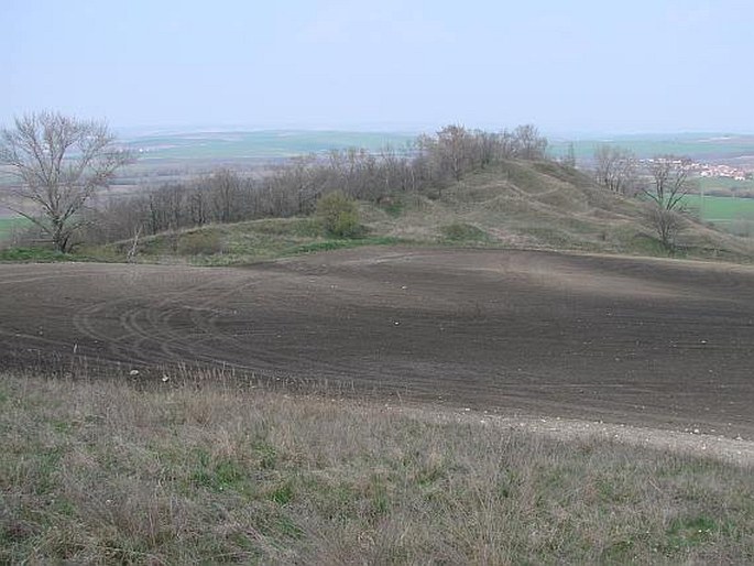 Kobylská skála