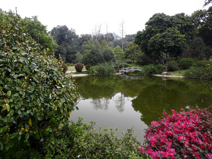 South China Botanical Garden