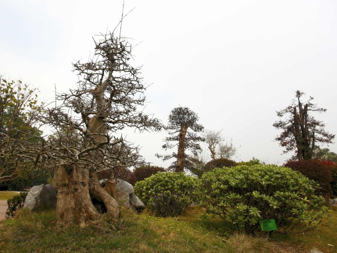 South China Botanical Garden