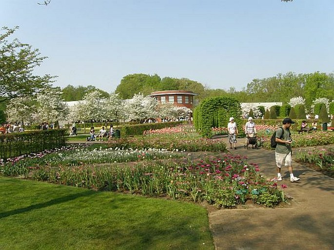 Zahrady světa: Nizozemsko, Lisse, Keukenhof