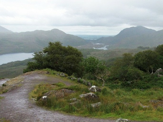 Killarney, Irsko