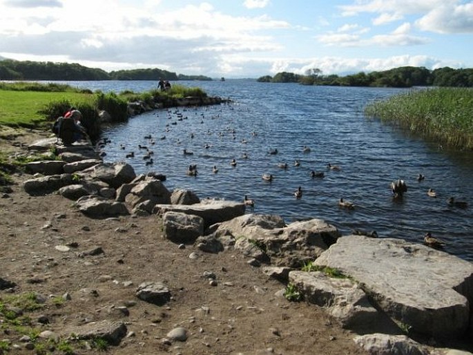 Killarney, Irsko