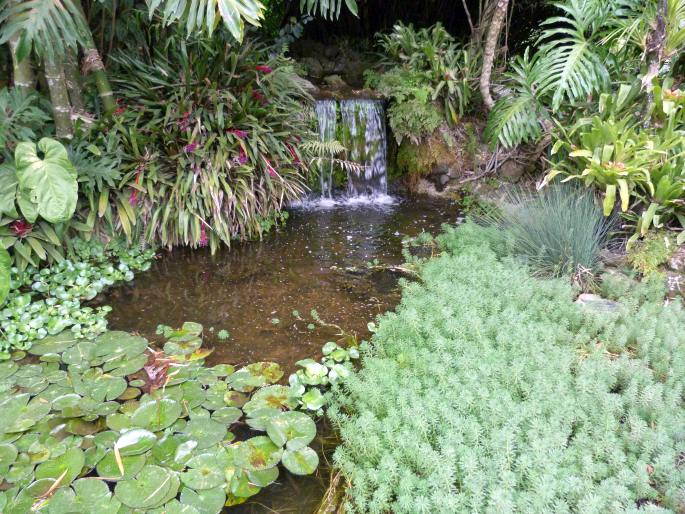 Jardín Botánico Lankester