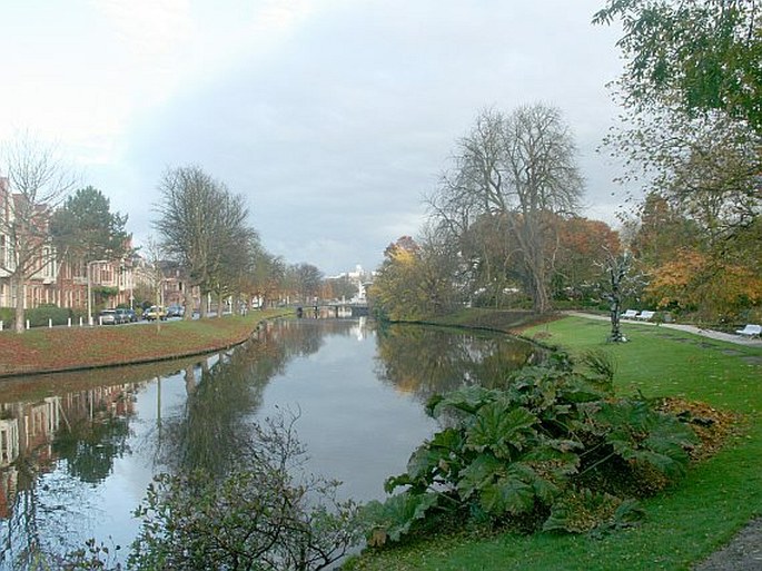 Zahrady světa: Nizozemsko, Leiden, Hortus botanicus