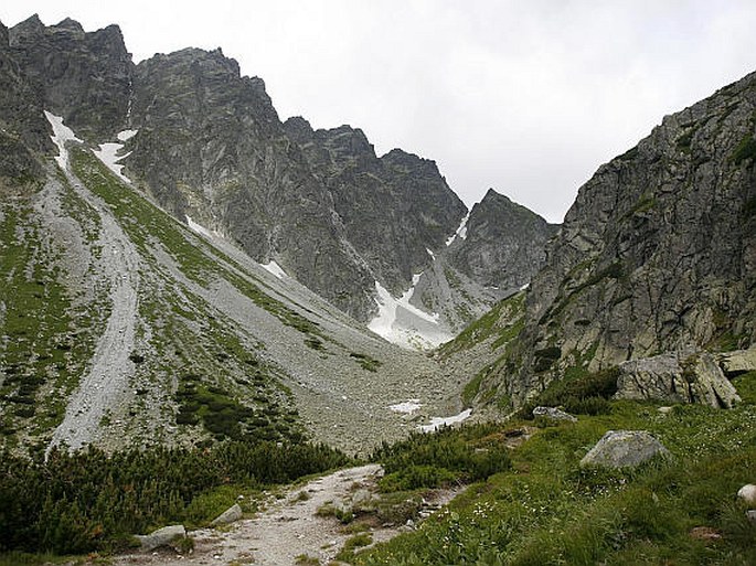 Mengusovská dolina