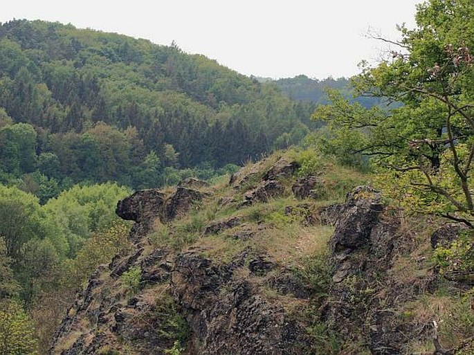 Minická skála - přírodní památka