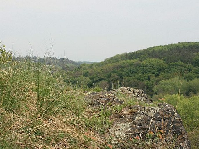 Dolní Povltaví, Minická skála - přírodní památka