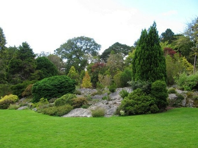 Muckross House and Gardens