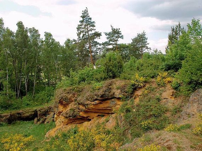 Na skalách - přírodní památka