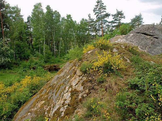 Na skalách - přírodní památka