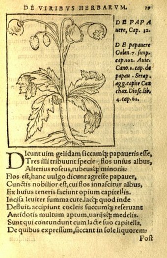 Macer Floridus, 1522