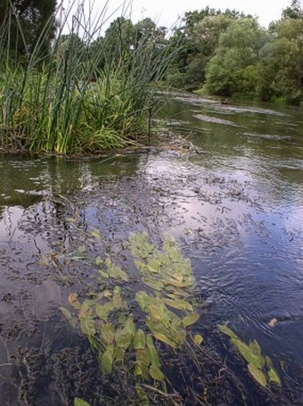 Řeka Ohře