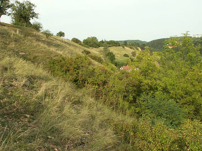 Praha, Opatřilka - Červený lom