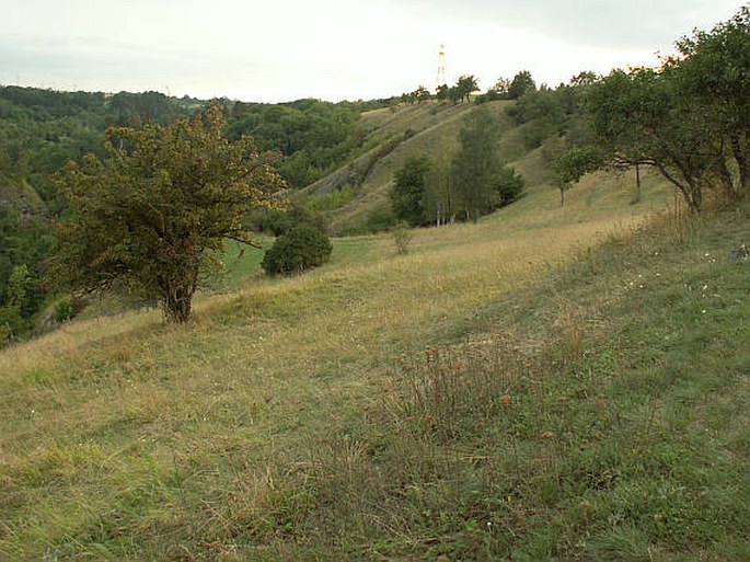 Praha, Opatřilka - Červený lom