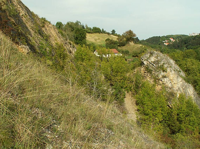 Praha, Opatřilka - Červený lom