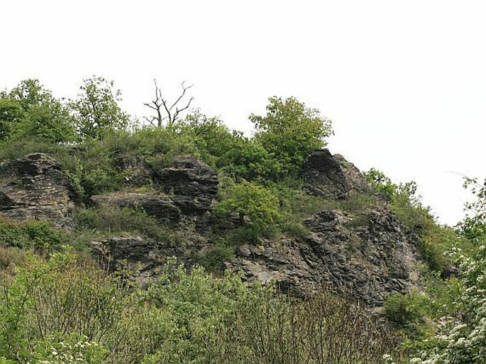 Dolní Povltaví, Otvovická skála – přírodní památka