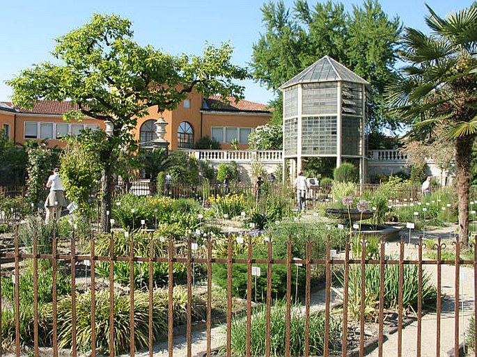 Orto Botanico di Padova